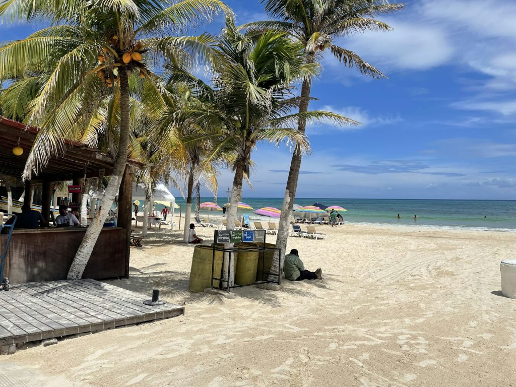 Riviera Maya beach with palm trees