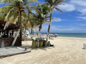 Riviera Maya beach with palm trees